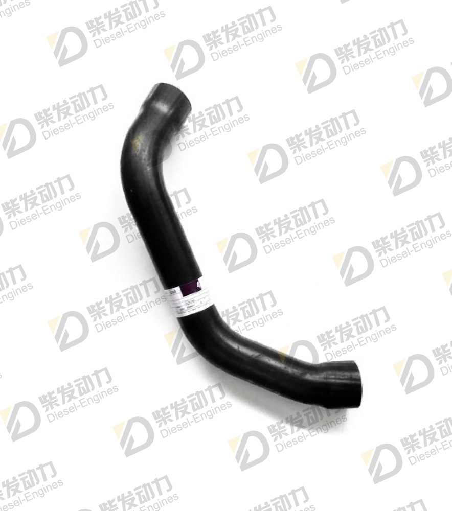 Hose 21076783 